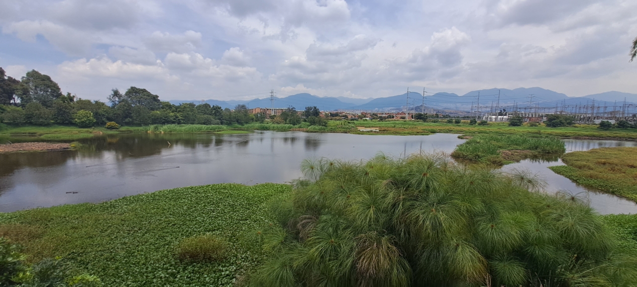 Humedal Tunjo: las alertas sobre una zona de tolerancia no regulada en Bogotá
