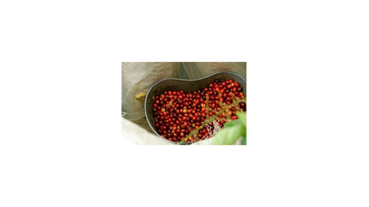 Caf&eacute; del Cauca, 100% colombiano.