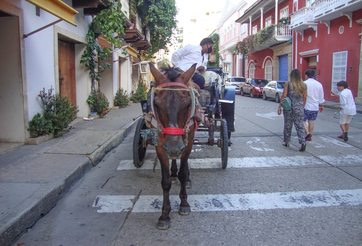 Coche en la ciudad de Cartagena.