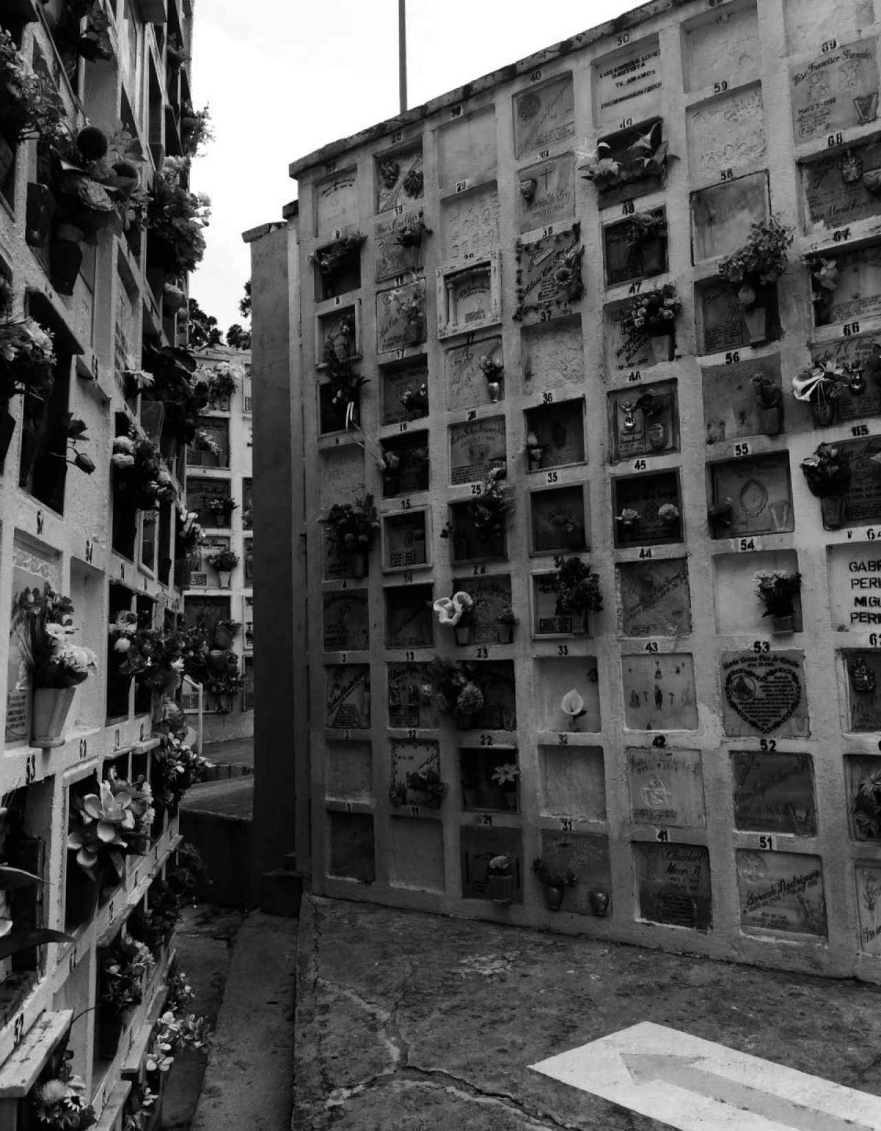 El cementerio Renacer de Suba se encuentra ubicado en la Calle 145B No. 89-03. Fotos: Melissa Ruiz|||||||||||||||