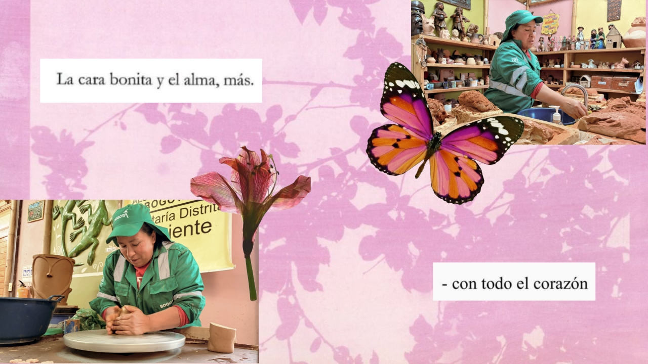 montaje metamorfosis|||