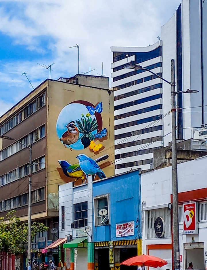 Museos Abiertos de Bogot&aacute;: finaliza otro a&ntilde;o del &ldquo;proyecto m&aacute;s ambicioso de arte urbano&rdquo;