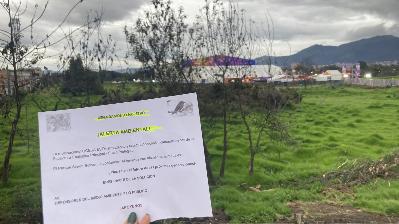 Humedales en riesgo: la lucha por la conservación en Bogotá