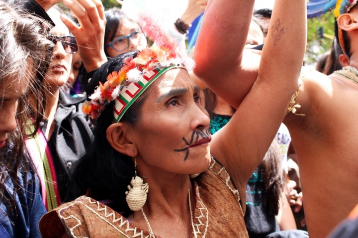Plant&oacute;n por la Amazon&iacute;a: &iexcl;alto a los ecocidios!