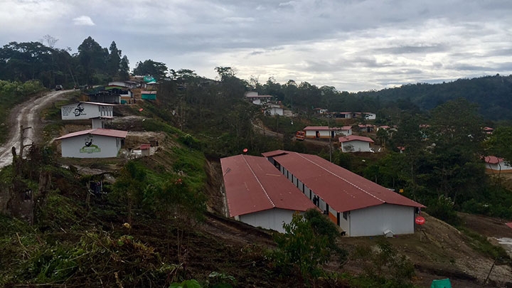 &ldquo;El m&aacute;s grande anhelo que tuve desde ni&ntilde;o fue ser guerrillero&rdquo;: &Eacute;dgar Fontecha