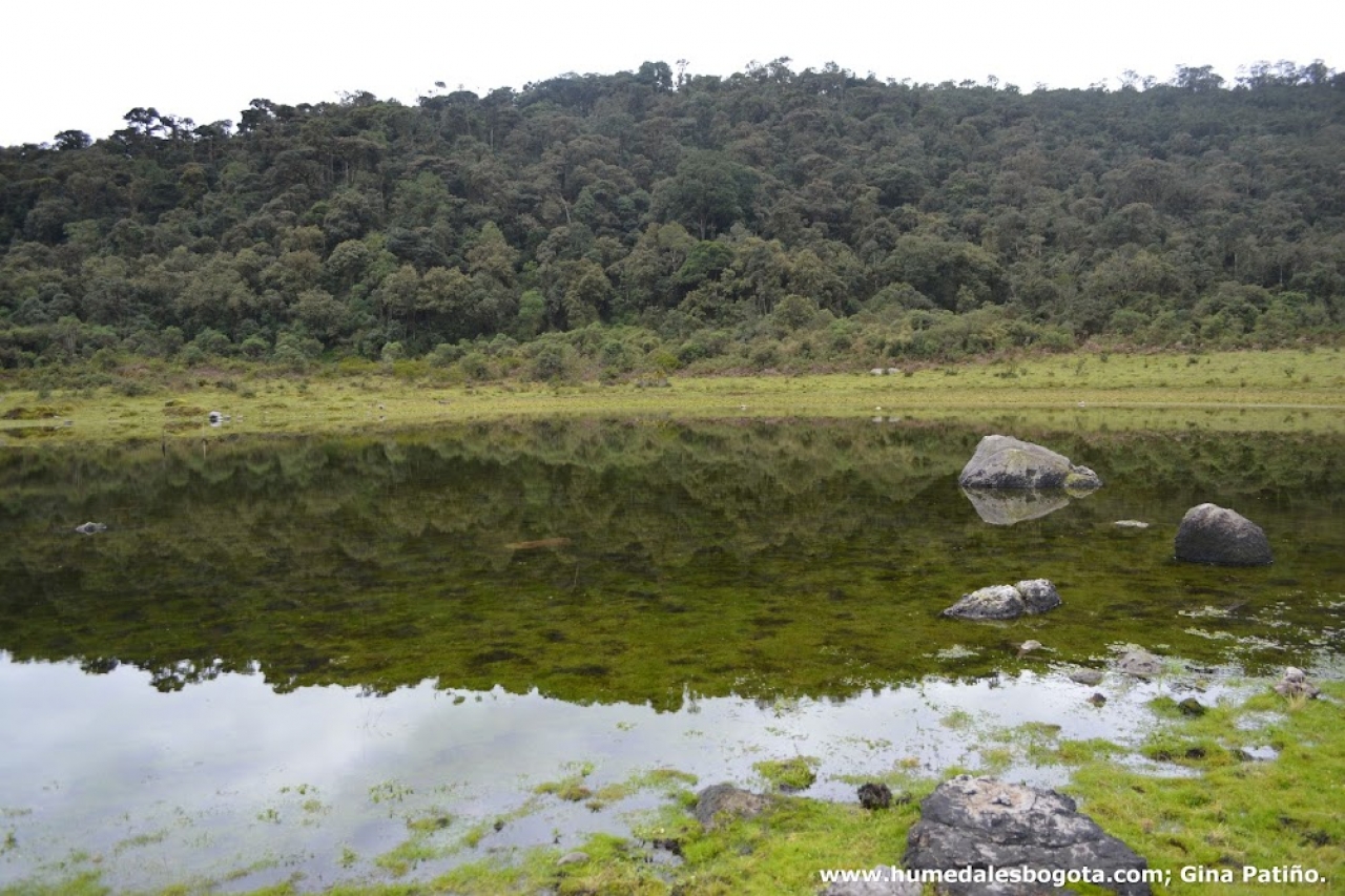 La calera, Cundinamarca|||