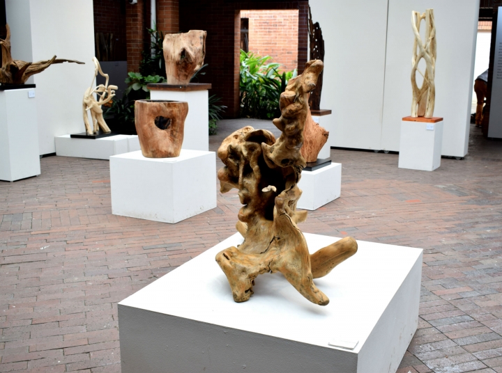 Exposici&oacute;n 'Esp&iacute;ritus del bosque'