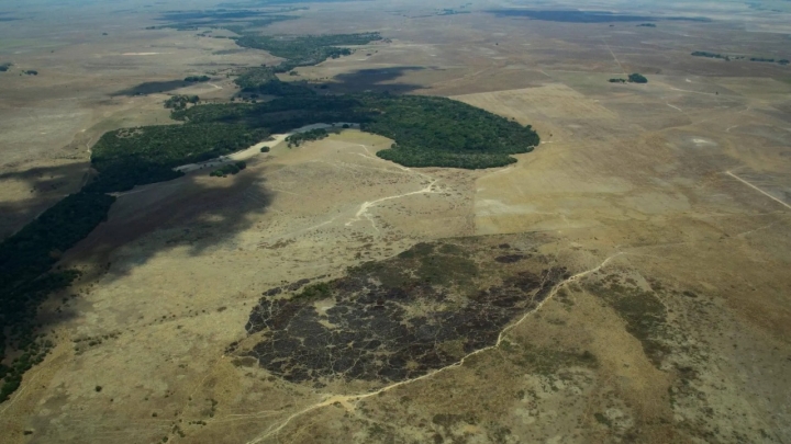 La Amazonía podría convertirse en una sabana por rápido avance de deforestación