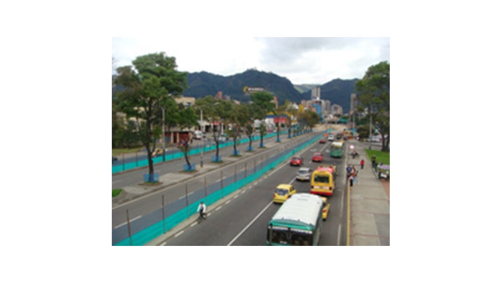 Tambi&eacute;n se han encontrado dos especies de culebras y dos especies de ranas, la Hyla labialis y la Eleutherodactylus.