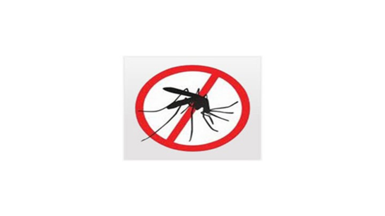 Esta es la imagen que representa la campaña contra el dengue del Ministerio de Salud Nacional.|||