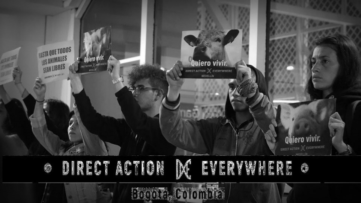 Miembros de DXE en una manifestaci&oacute;n