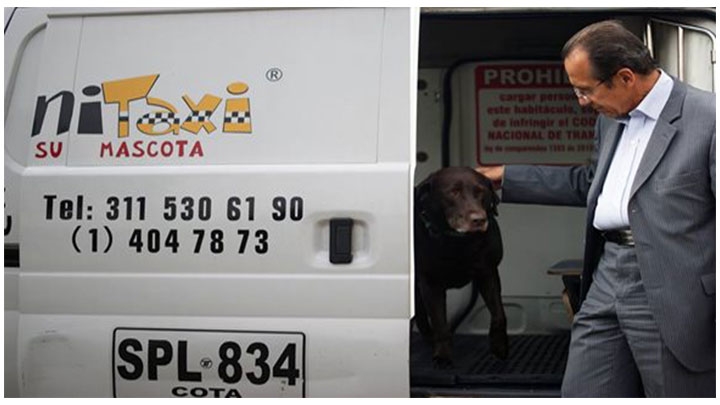 Canitaxi es la primer empresa en el transorte especializado de mascotas en Bogotá.