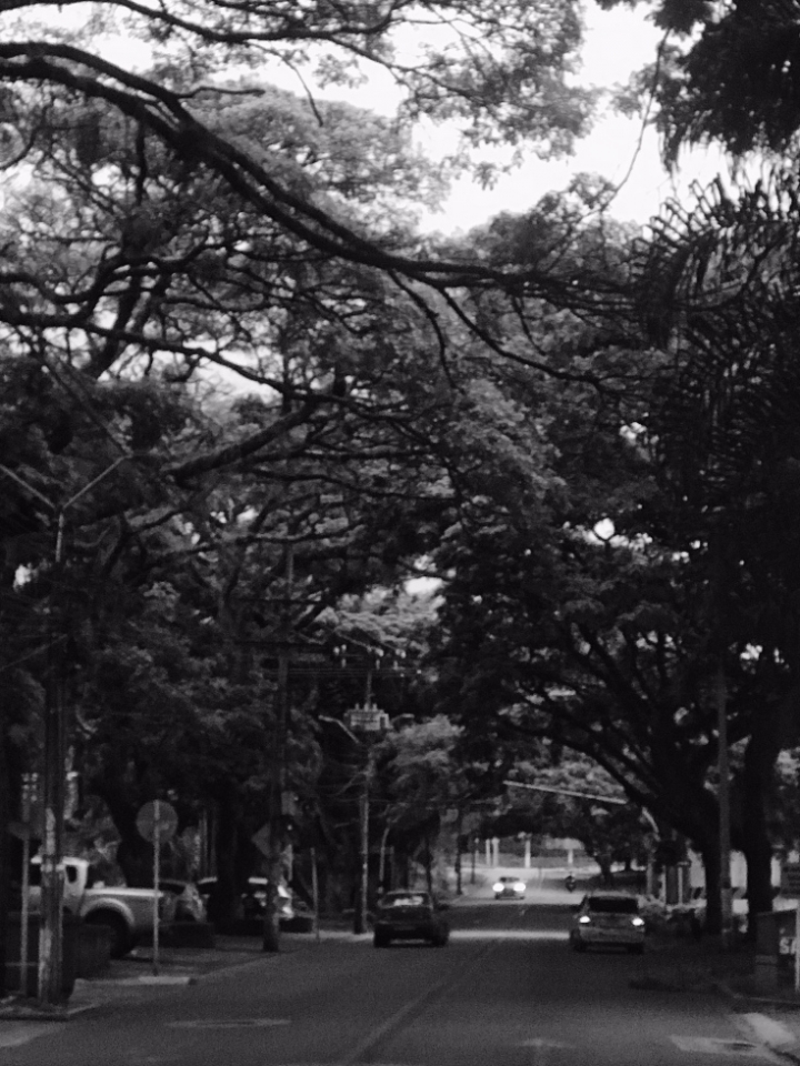 Recordar del lat&iacute;n recordari