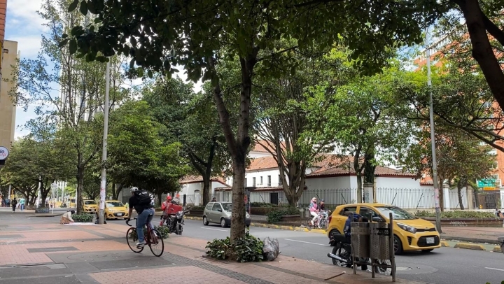 Cobertura arborea en Bogot&aacute;
