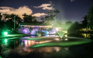 Recorridos nocturnos del Jardín Botánico|||