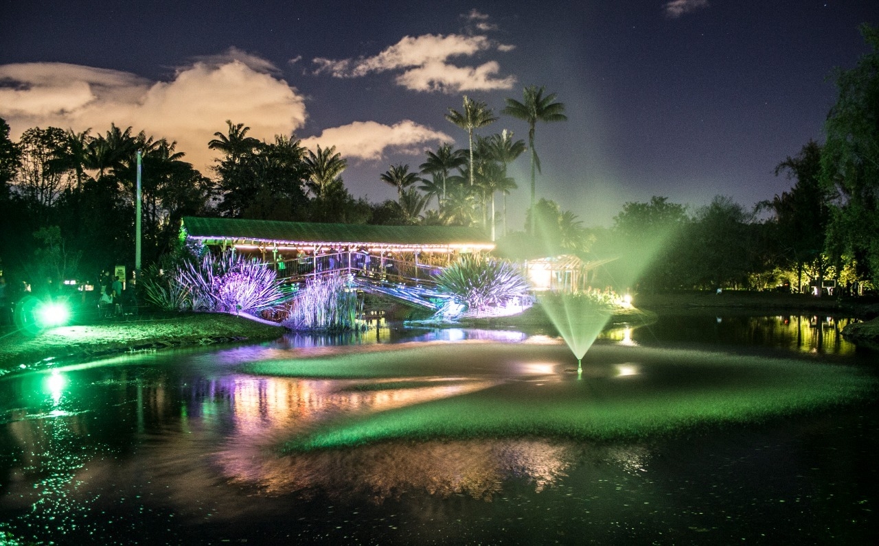 Recorridos nocturnos del Jardín Botánico|||