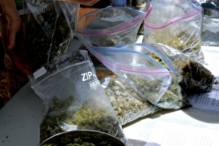 Dosis M&iacute;nima. Cr&eacute;dito: Juan Carlos Hern&aacute;ndez