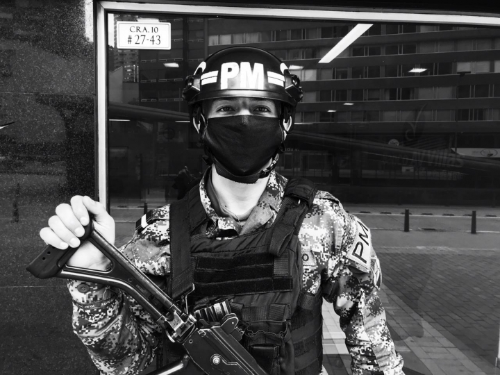 El Gobierno decret&oacute; la emergencia sanitaria.