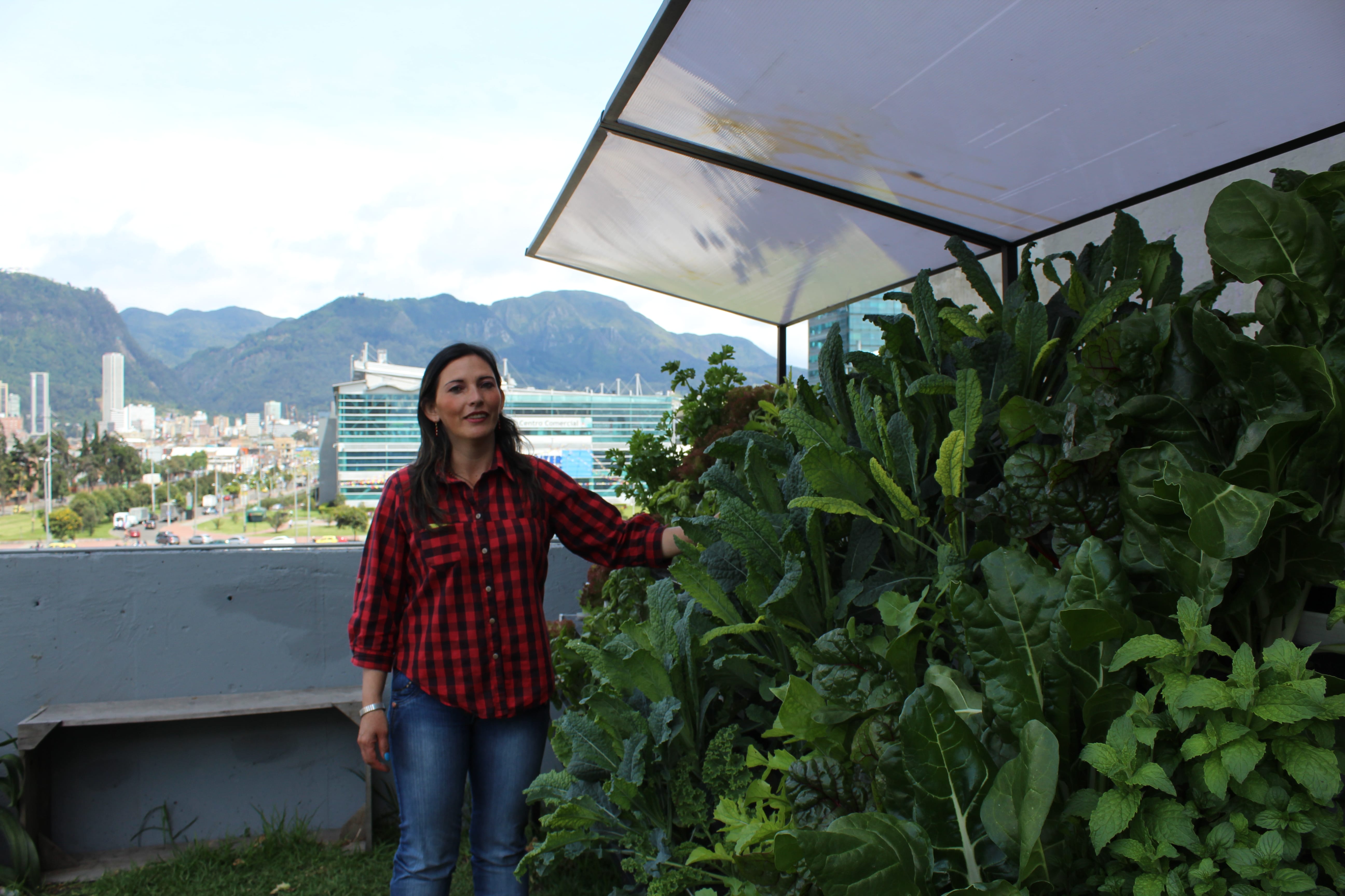 Claudia Bohórquez al lado de un cultivo hidropónico de la plaza de la Hoja.||||