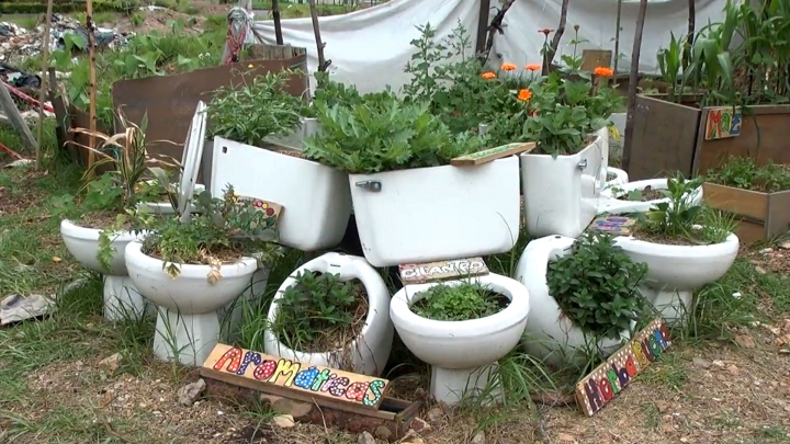 Una forma de reciclar material para sembrar en espacios no convencionales