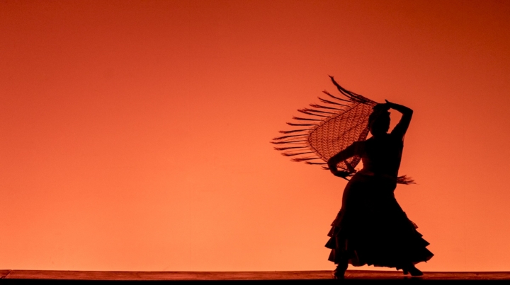 "Un lugar de lo distinto"