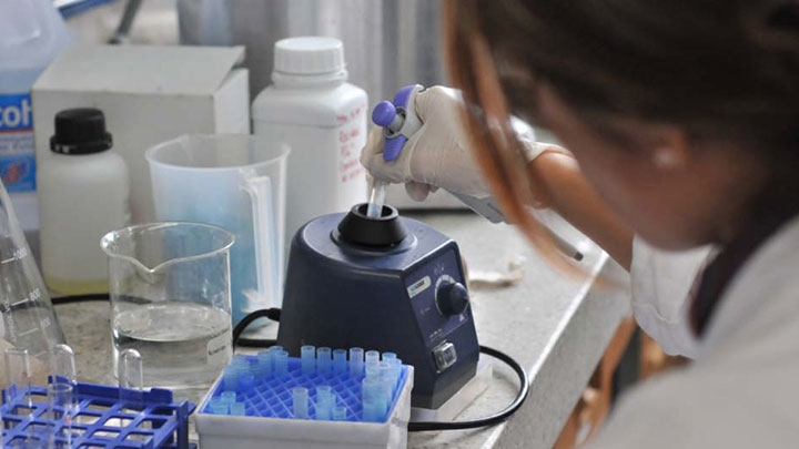 Defensa o investigaci&oacute;n &iquest;A qu&eacute; deber&iacute;a meterle la ficha el Estado?