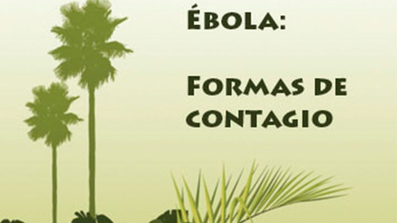 Infografía de contagio del Ébola|||