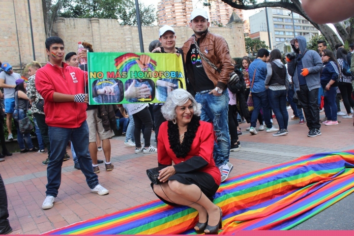 Marcha 'Bogot&aacute; Libre de Homofobia'
