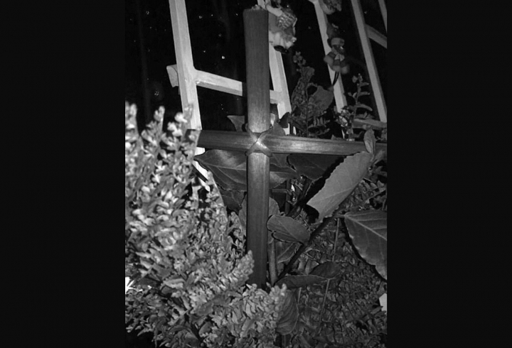 Domingo de ramos. Se realizó la cruz con palmas del jardín, posteriormente se ubicaron en las ventanas hacia la calle.