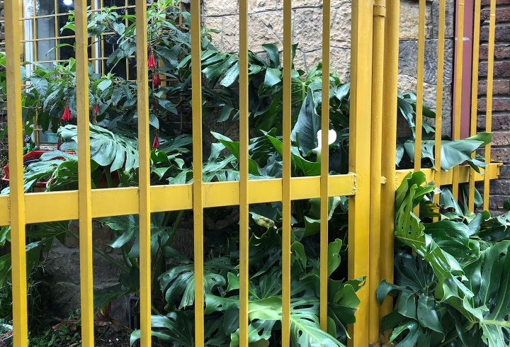 Jard&iacute;n en barrio Bozque Izquierdo