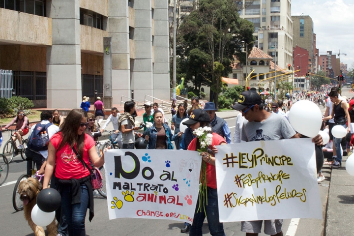 La Ley Pr&iacute;ncipe ya cuenta con m&aacute;s de 10.000 mil firmas en Change.org, el portal de peticiones del mundo.