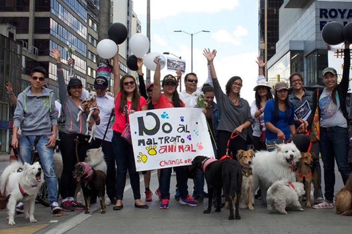 Con bombas de color blanco y negro, representaci&oacute;n de sus manchas, se rindi&oacute; homenaje a Pr&iacute;ncipe.