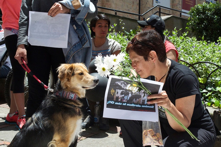 Marina Isaza, dueña de Príncipe, compartió un momento con todas las mascotas que acompañaron su causa.