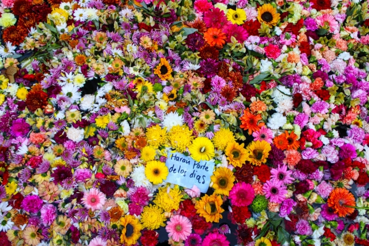 Los habitantes y visitantes del centro de Bogot&aacute; pararon sus actividades por un momento para tomarse fotos