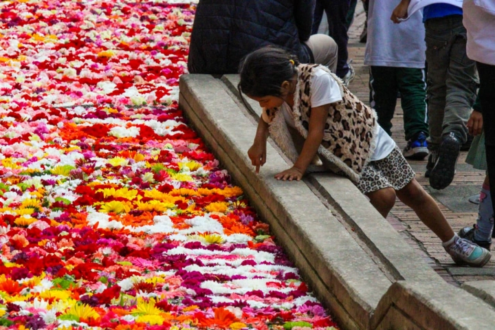 Niña señalando las flores del río del Eje Ambiental en el centro de Bogotá