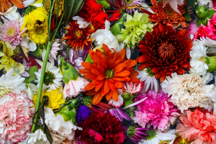 Todas las flores que se usaron para esta muestra art&iacute;stica eran de industria colombiana