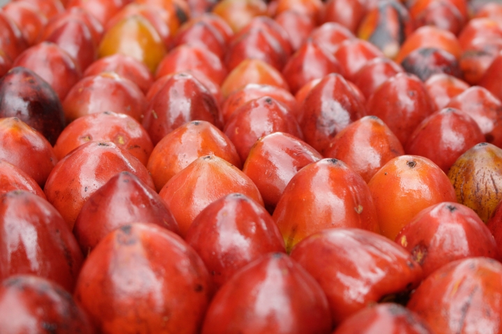 El típico chontaduro