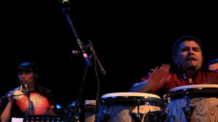 D&eacute;cimo s&eacute;ptima versi&oacute;n del Festival Jazz al Parque