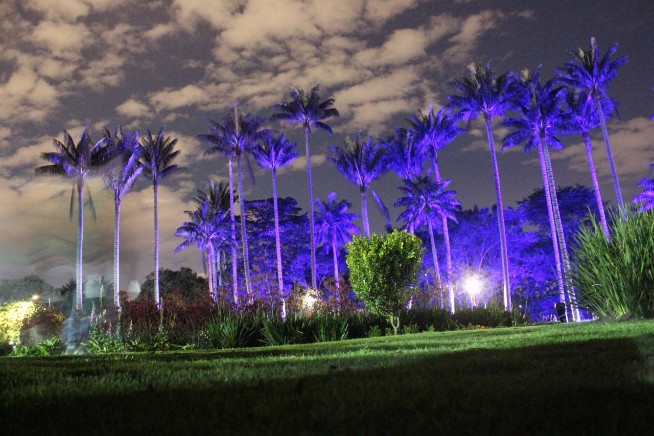 Luces, poesía, charlas y caminatas son algunas de las actividades a desarrollar en “Jardín de Noche”|||