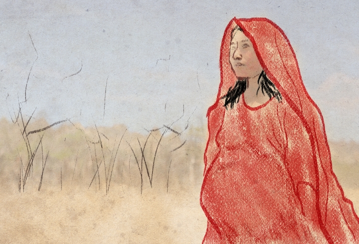 Mujer Wayuu
