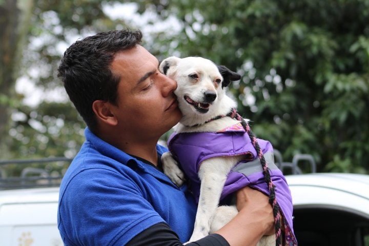 La pr&oacute;xima jornada de adopci&oacute;n que realizar&aacute; la Fundaci&oacute;n Milagrinos ser&aacute; el 27 de abril en el PetSpot en el parque de la 93.