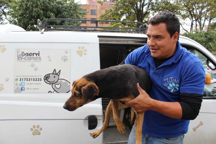 Durante la temporada de Navidad no se hacen jornadas de adopci&oacute;n, debido a que la tasa de abandono crece sustancialmente. En la imagen Alejandro Garz&oacute;n.