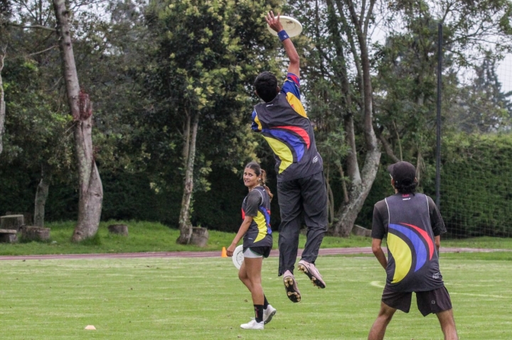 El camino no ha sido f&aacute;cil