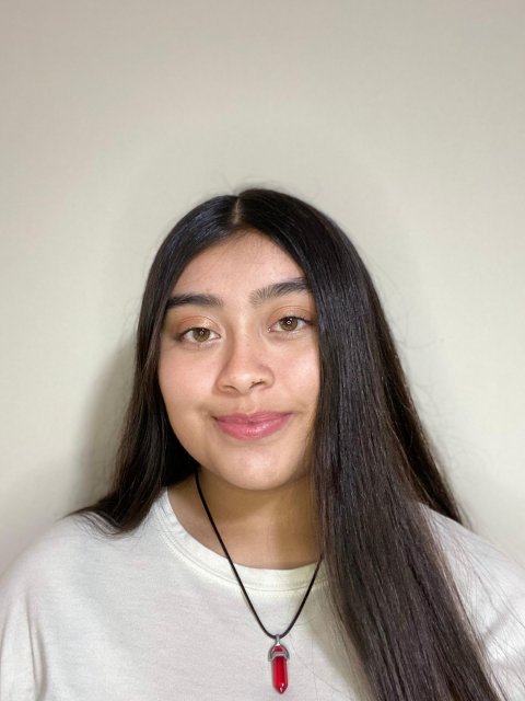 Angela Gabriela Villamizar Acevedo