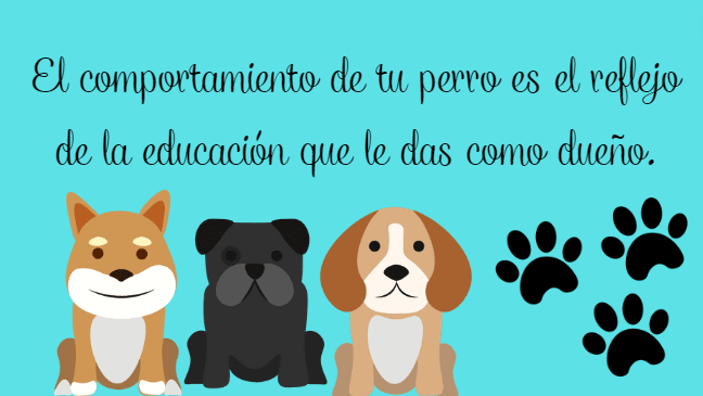 "Los perros aman, salvan y sanan" Ilustración por Laura Sofía De La Rosa