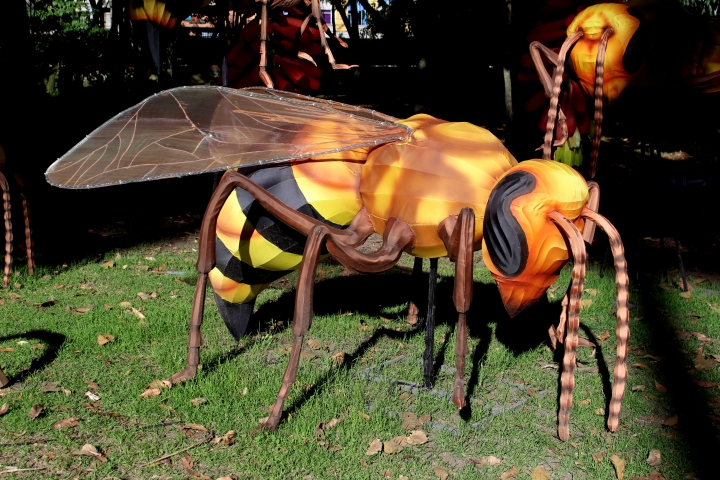 Festival Brilla Colombia 2019: Gigantes de luz