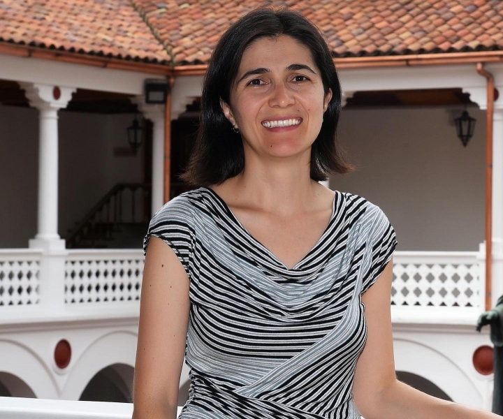 La profesora rosarista, Sandra Botero, desmenuza algunos de los debates más imbricados relacionados con la violencia actual en Colombia
