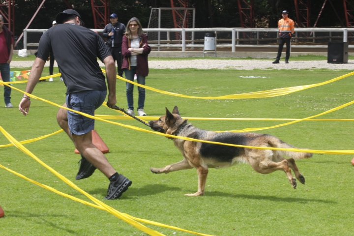 D&aacute;ndolo todo en la carrera de obst&aacute;culos