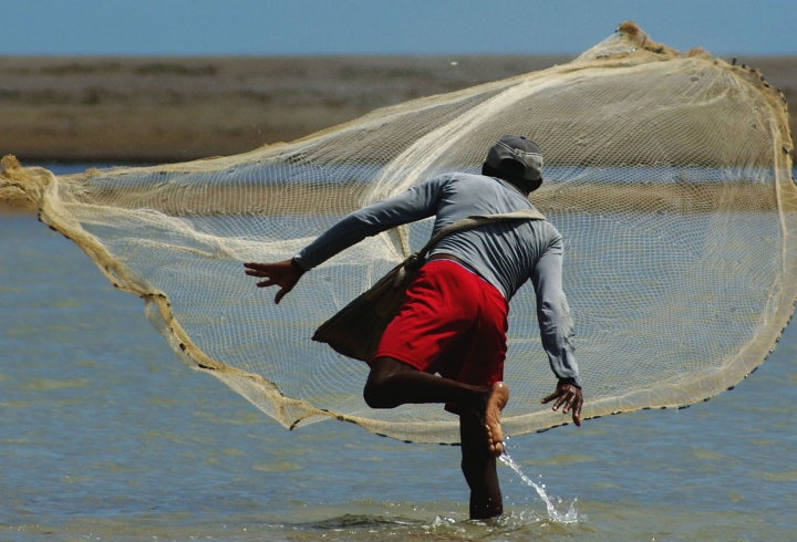 Abierto / Santuario de Fauna y Flora Los Flamencos, La Guajira, 2015.