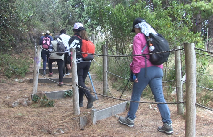 Abren nuevos senderos ecológicos en los Cerros Orientales de Bogotá